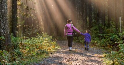 james-wheeler-RRZM3cwS1DU-unsplash-scaled-acenterbottom-e1718443793254-1200x629