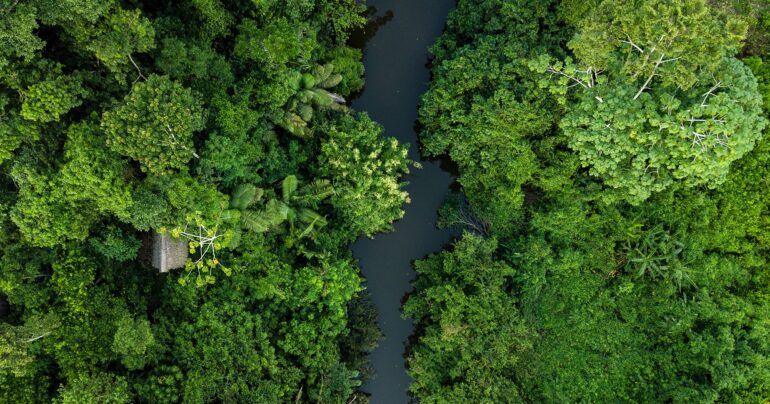 Aerial,Photo,Of,Amazon,Rain,Forest,Jungle,In,Peru