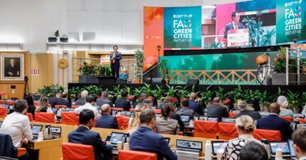 ITALY 2025. GO19 - The First International Green Cities Conferen